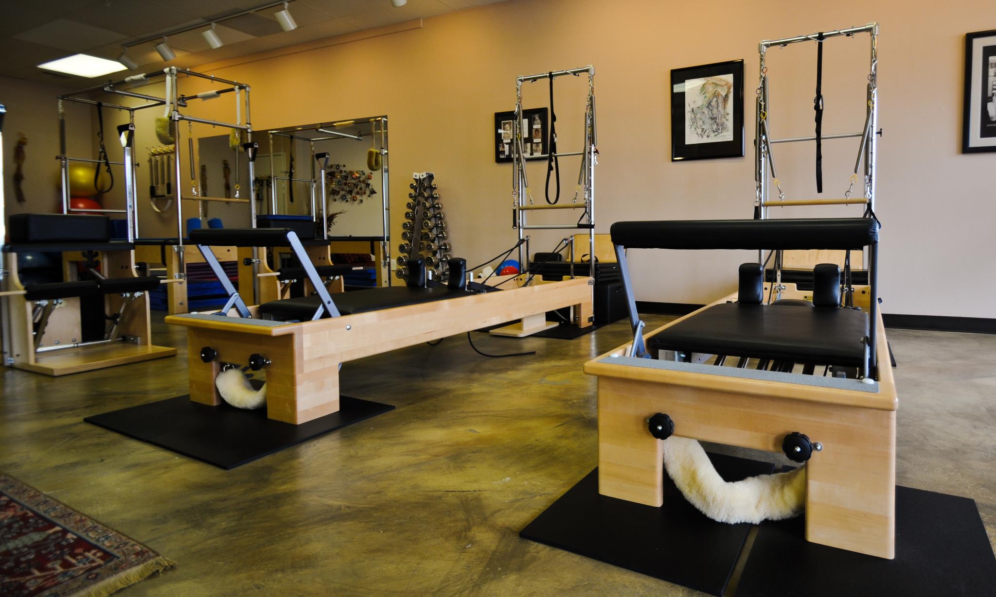 BASI Pilates Purely Pilates & Body Basics